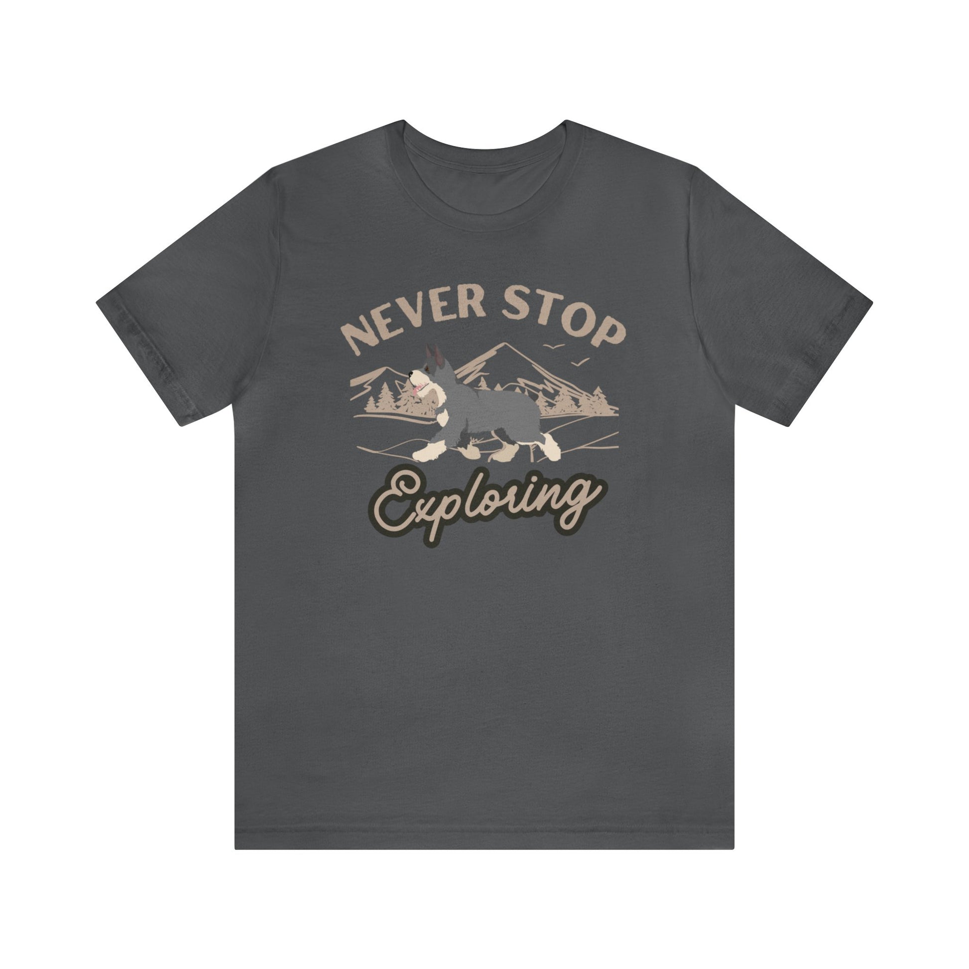 Fabulous Tee Shirts' ' Never Stop Exploring ' grey t-shirt displayed to emphasize its inspirational message and superior quality.